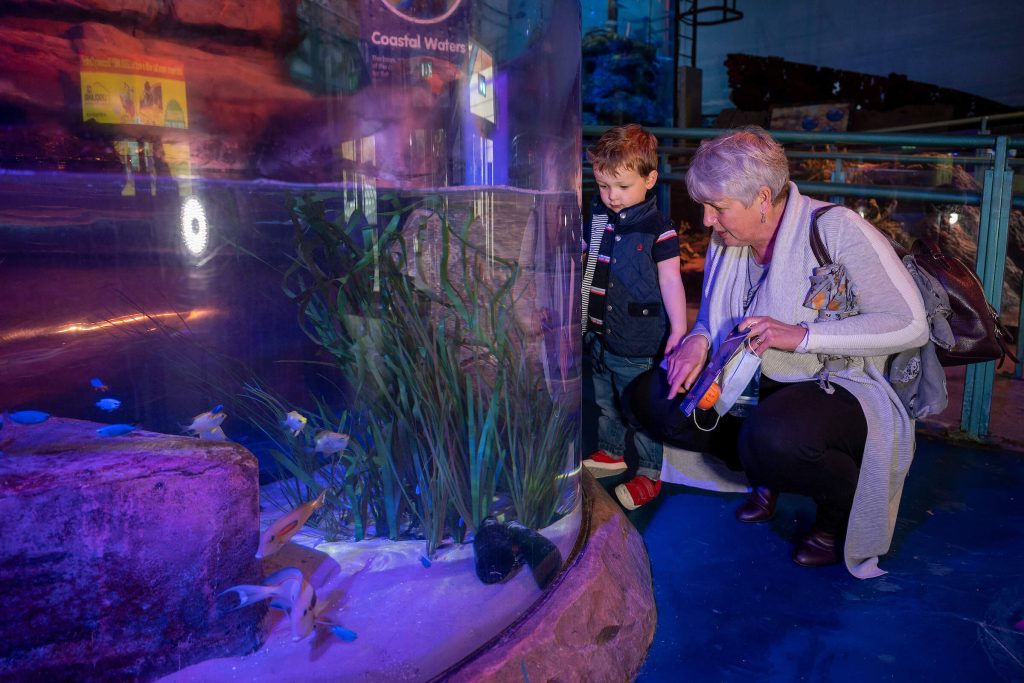 SEA LIFE Birmingham